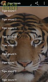 tiger sounds