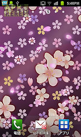 cherry blossomwallpaper　free