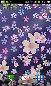 cherry blossomwallpaper　free