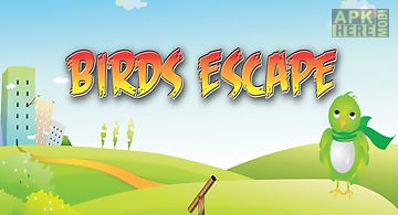 Birds escape