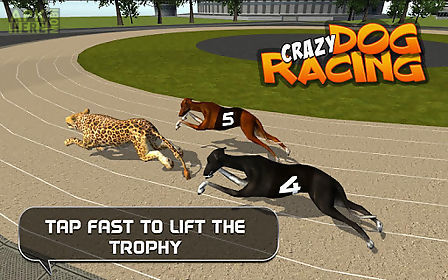 crazy dog racing