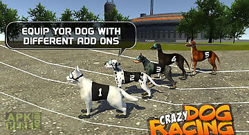 Crazy dog racing