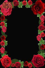 roses flower photo frame