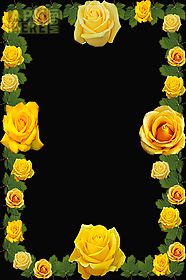 roses flower photo frame