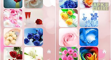 Roses flower wallpapers