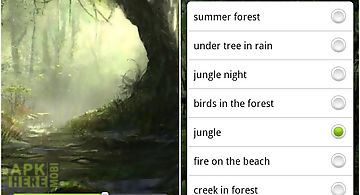 Jungle sounds - nature sounds