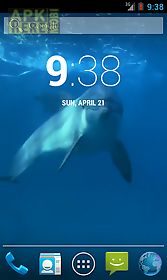 amazing dolphins hd