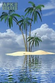 palm in tropical island live w