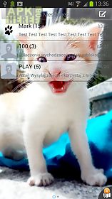 sweet kitty theme for go sms