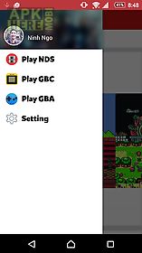 nds emulator (nitendo ds)