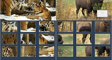 Animal picture puzzle