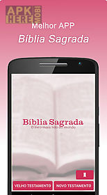 bíblia sagrada - feminina