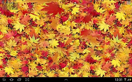 autumn leaves 3d live wallpaper