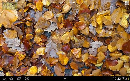 autumn leaves 3d live wallpaper