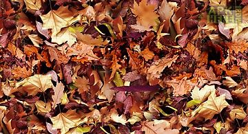 Autumn leaves 3d Live Wallpaper