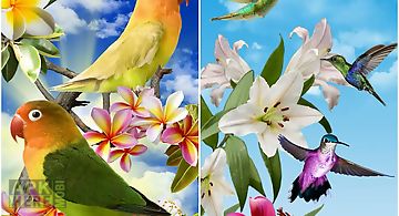 Birds  Live Wallpaper