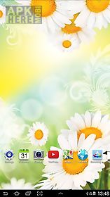 daisies by  live wallpaper