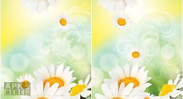 Daisies by  Live Wallpaper