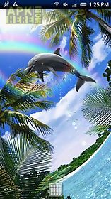 dolphin blue live wallpaper
