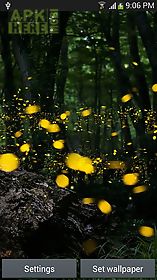 fireflies by top  hq live wallpaper