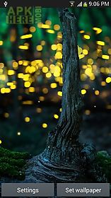 fireflies by top  hq live wallpaper