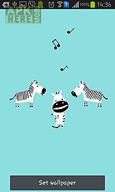 funny zebra live wallpaper