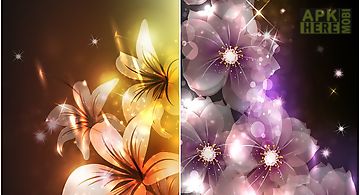 Glowing flowers by creative fact..