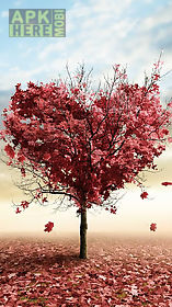 love tree  live wallpaper