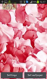 petals live wallpaper
