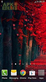 red leaves live wallpaper