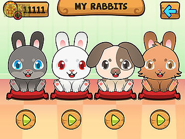 my virtual rabbit