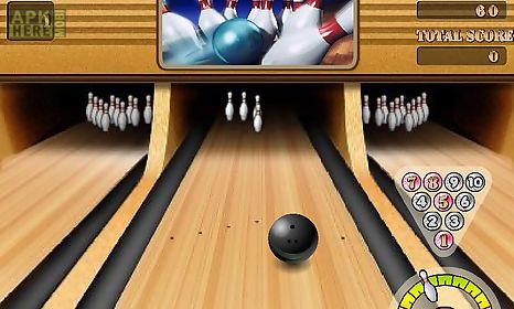 crazy bowling ii