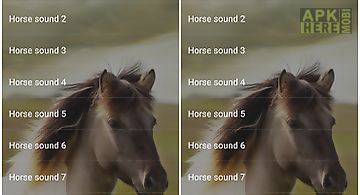 Horse sounds