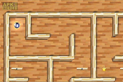 magical maze puzzle 3d