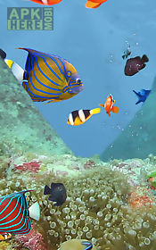 aquarium and fishes