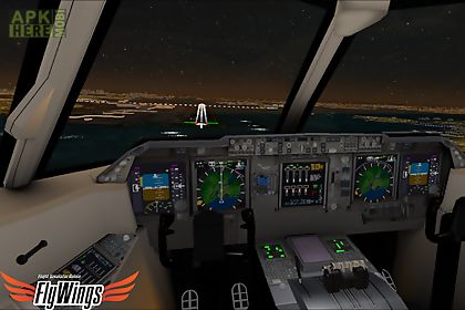 flight simulator night ny free