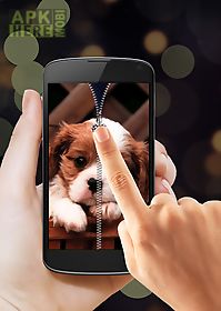 puppy zipper lock screen
