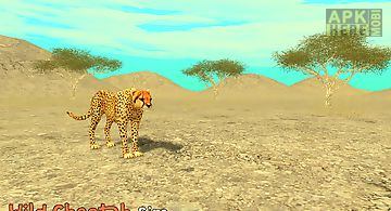Wild cheetah sim 3d
