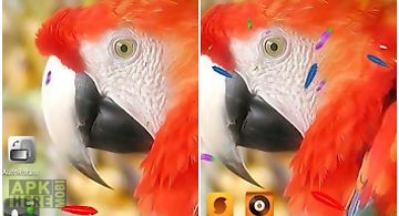 Live parrot wallpaper