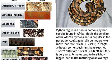 Snake catalog free