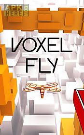 voxel fly