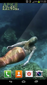 mermaid maritime live