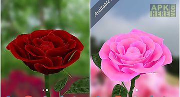 3d rose  free Live Wallpaper