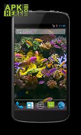 aquarium video  live wallpaper