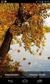 autumn river hd live wallpaper