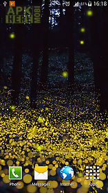 fireflies by phoenix  live wallpaper
