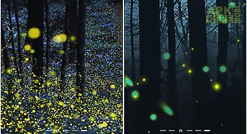 Fireflies by phoenix  Live Wallp..