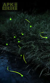 firefly  free live wallpaper