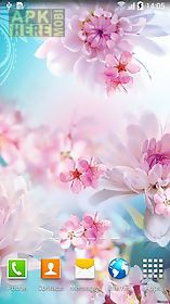flowers by  3d live wallpaper