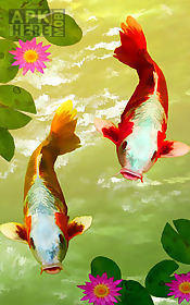 koi fish  live wallpaper